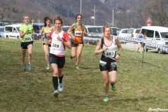17352560_1682472188719432_2101533372259404643_n
