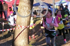 15621858_621735841366981_290340705038814260_n