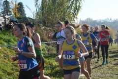 23800259_10212905729111957_5058276899366135474_o