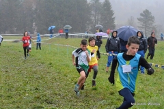 14915132_10209659827606448_4412397549862796090_n