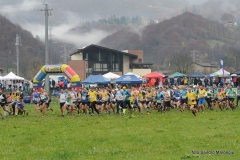 14925407_10209660036851679_4414425942017861642_n