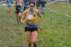 14947507_10209659969489995_5505573668459325108_n
