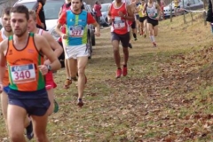 12592412_1701400526763913_4643837112495040235_n