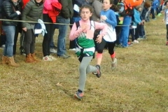 12631551_1050596868324284_7260239500059482916_n (1)