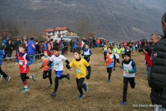 12642893_10207447457938589_8913621574538254702_n