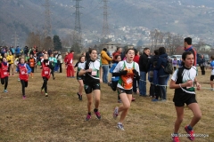 12647059_10207447507459827_2752722262008070633_n