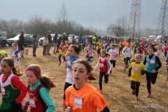 12651348_10207447377736584_2694237111885203407_n