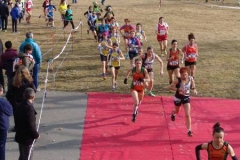 12654177_1701400213430611_1842197029266787064_n