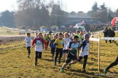 1044718_10207172266218968_4642892249828199531_n