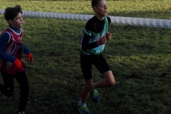 IMG_20151220_100636