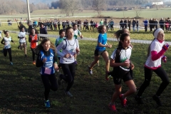 IMG_20151220_101401