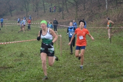 15193616_10209911016566015_3785169959685606800_n