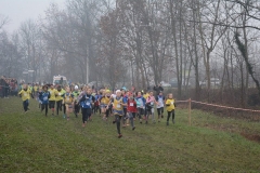 15283929_10209910029221332_3145814332999660982_n