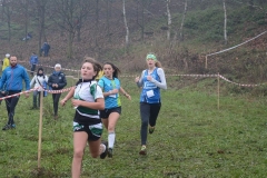 15284175_10209910300348110_798603890054210367_n