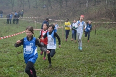 15319153_10209910068702319_4157293767543229330_n