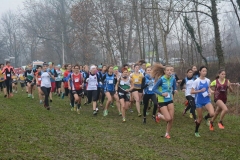 15326489_10209910697518039_4647876667317222130_n