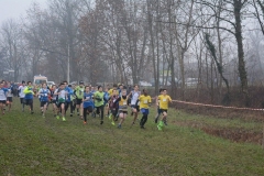 15327332_10209910218826072_4011414684657755437_n