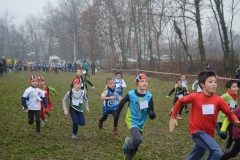 15327353_10209910621796146_7684137940093405414_n