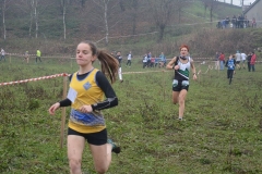 15337622_10209910760919624_2223815325729403817_n