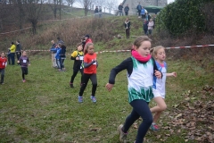 15338881_10209910539754095_7754160193164730550_n