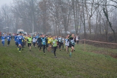 15349683_10209910077582541_2245932869965285024_n
