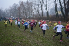 15356735_10209910444431712_3609047213980011788_n