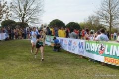 15403843_10210991034805796_6872122409222711785_o