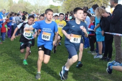 17636838_1318642728218410_501113015183827005_o