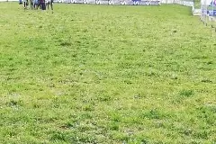 IMG-20190405-WA0006