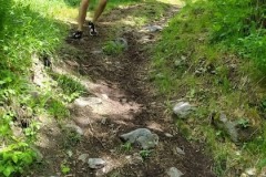 IMG-20210606-WA0004