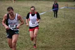 29365457_754392734766310_7236530198768779264_o