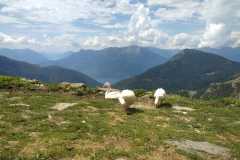 IMG-20220807-WA0026
