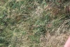 IMG-20220807-WA0108