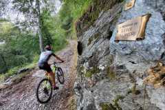 IMG-20220808-WA0031