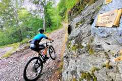 IMG-20220808-WA0032