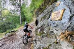 IMG-20220808-WA0037