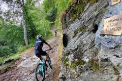 IMG-20220808-WA0041