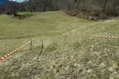 29243911_850792165105376_7148421516626507024_n
