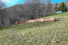 29314411_850791581772101_610105019562614983_n