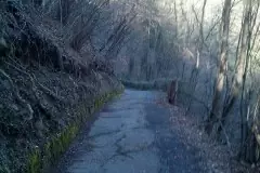 29340366_850791908438735_6028968071371173148_n