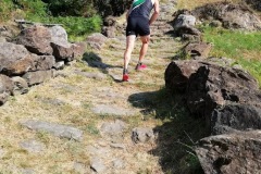 IMG-20211202-WA0052