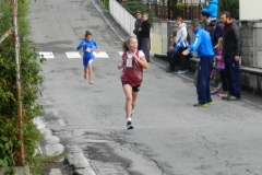 gallino 18 ott 2015 031