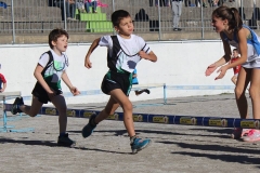 14915477_1258501030837969_7979635242070254856_n