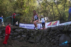 donne al salto391