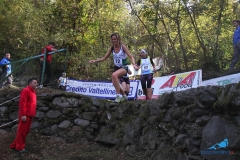 donne al salto392