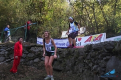donne al salto397